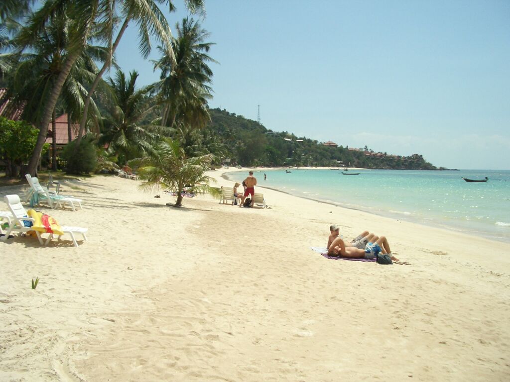 Click to See Next Image